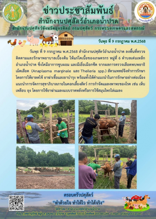 ข่าวประชาสัมพันธ์ อำเภอน้ำปาด