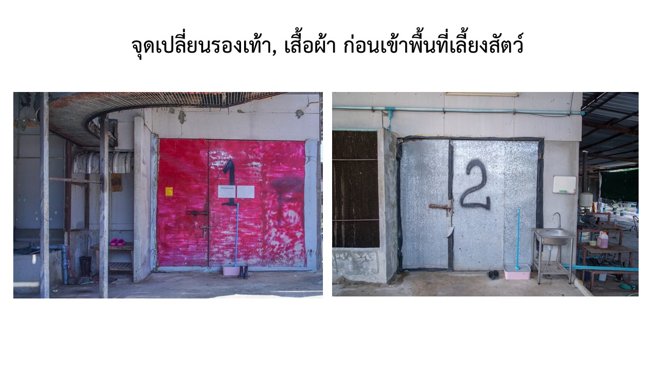 สไลด5