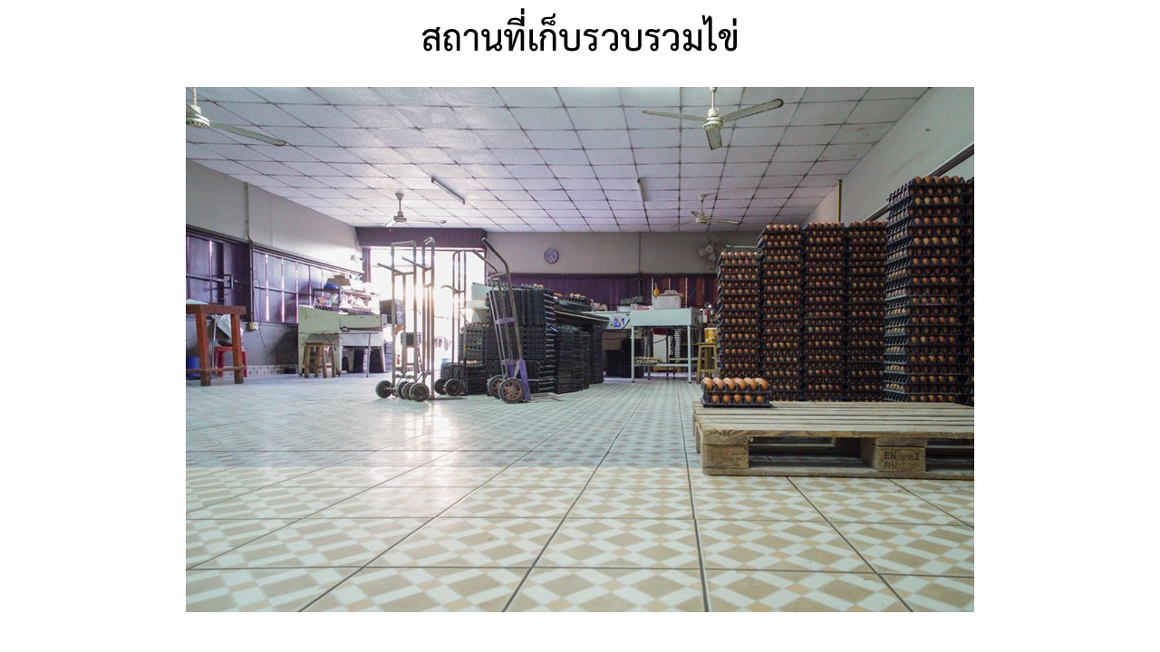 สไลด8