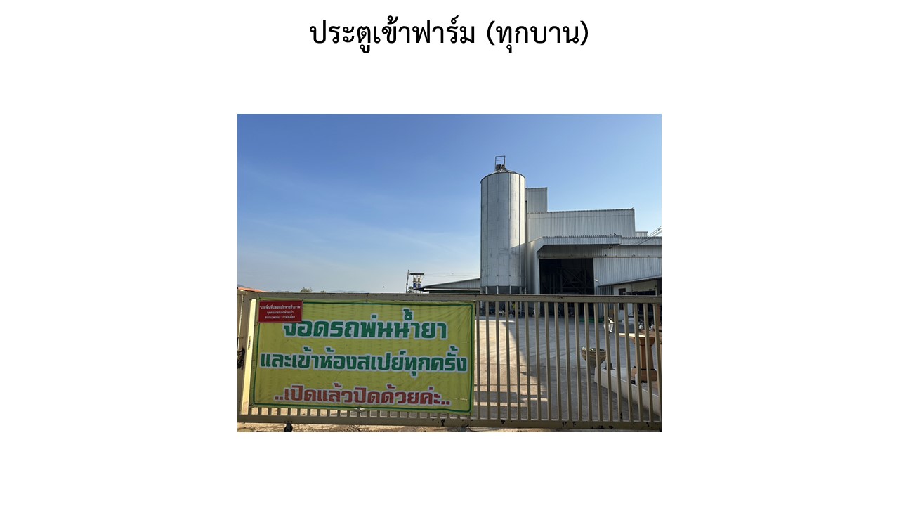 สไลด2