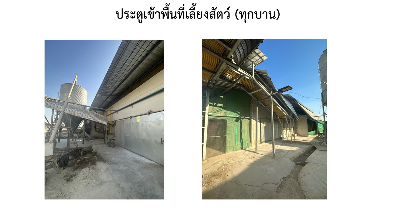 สไลด3