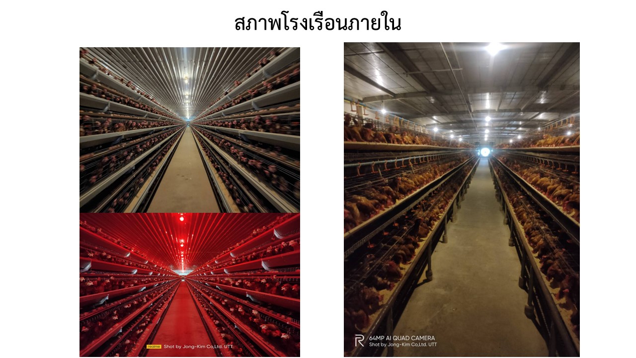 สไลด6