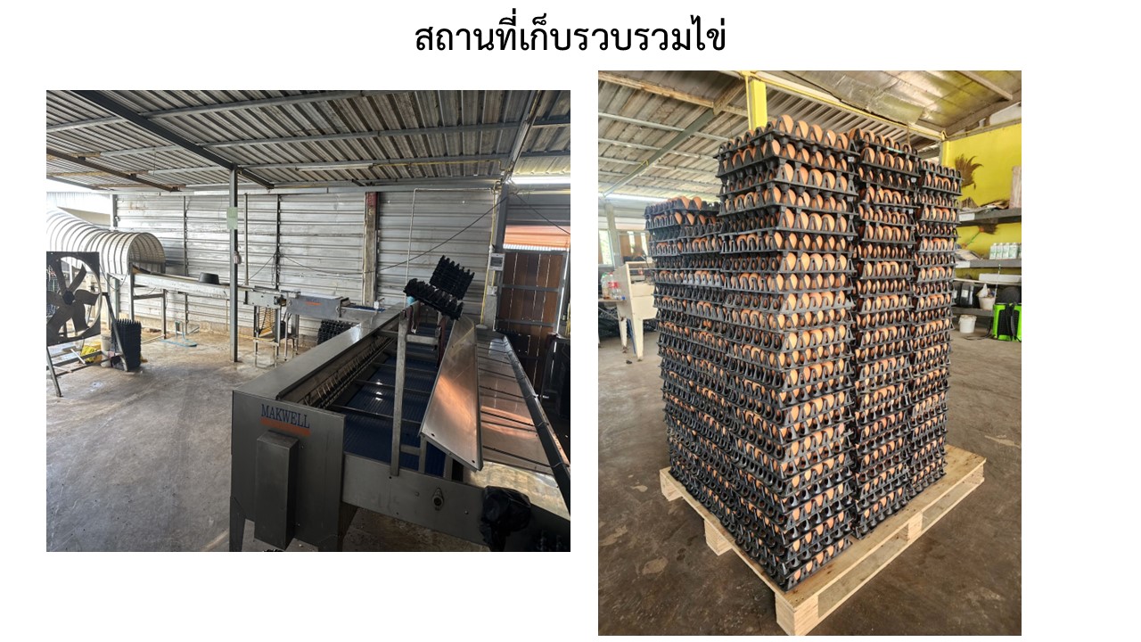 สไลด7