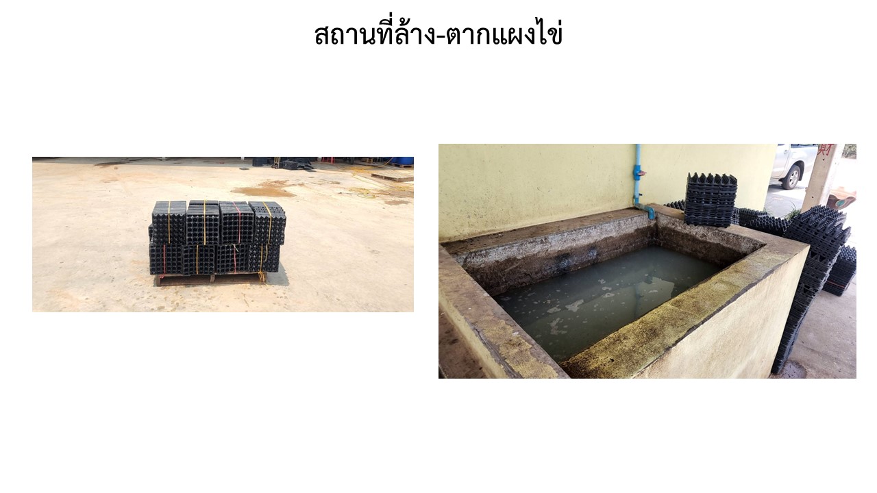 สไลด8