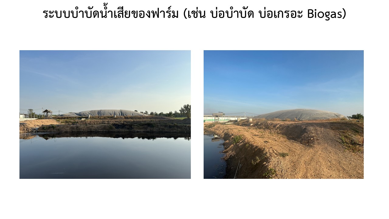 สไลด9