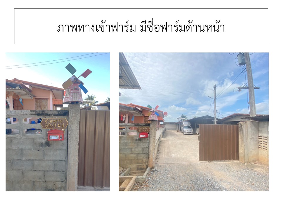 สไลด2