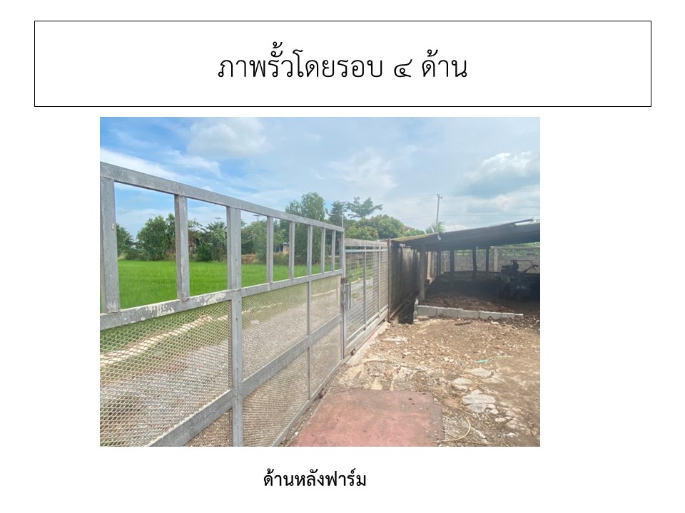 สไลด4