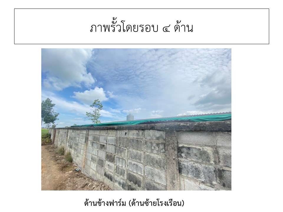 สไลด5