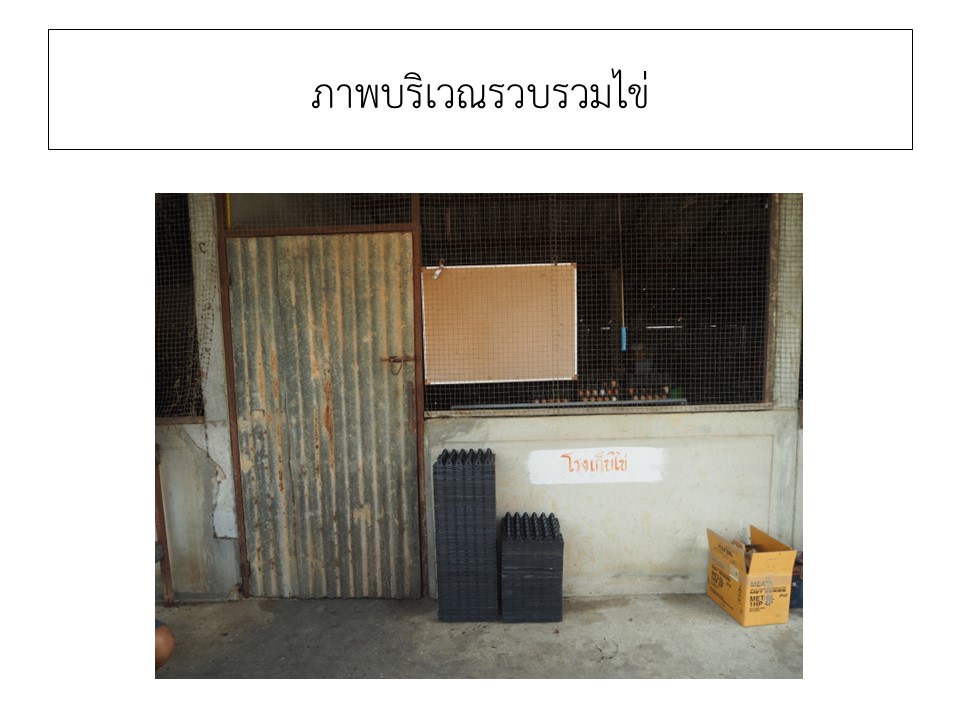 สไลด8