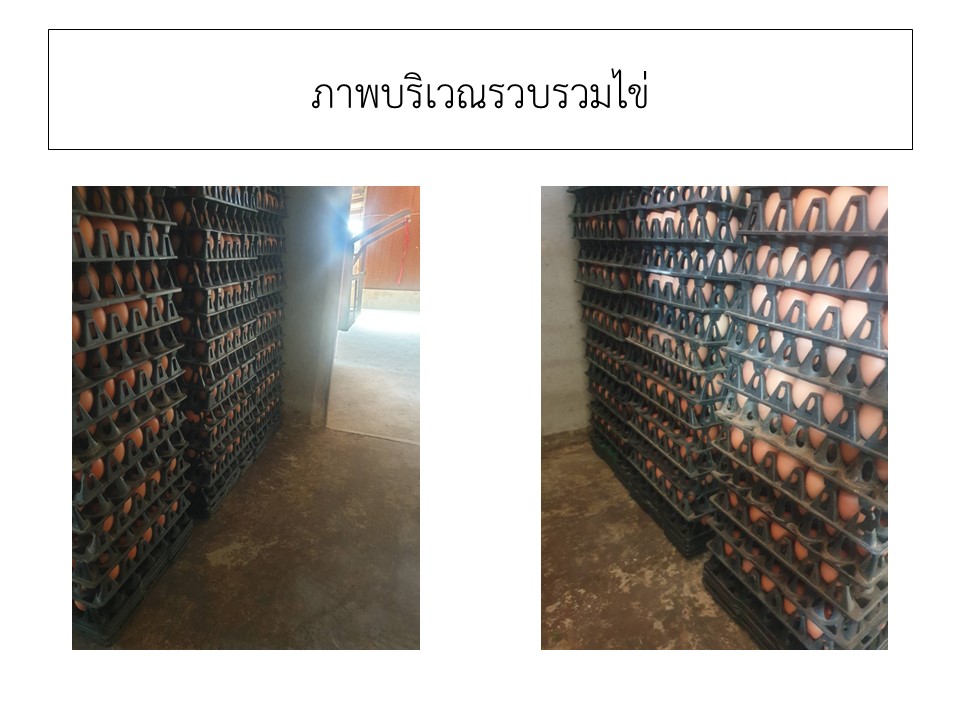 สไลด9