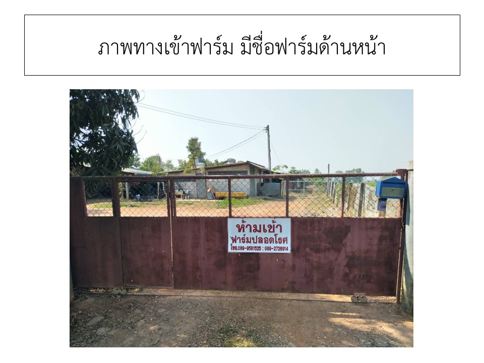 สไลด2