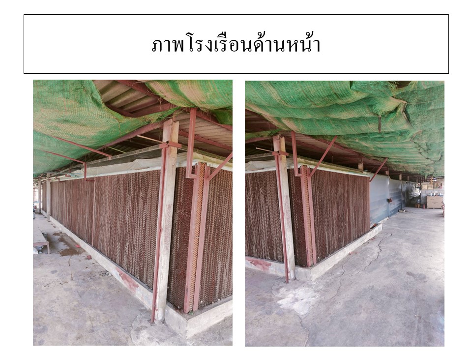 สไลด5