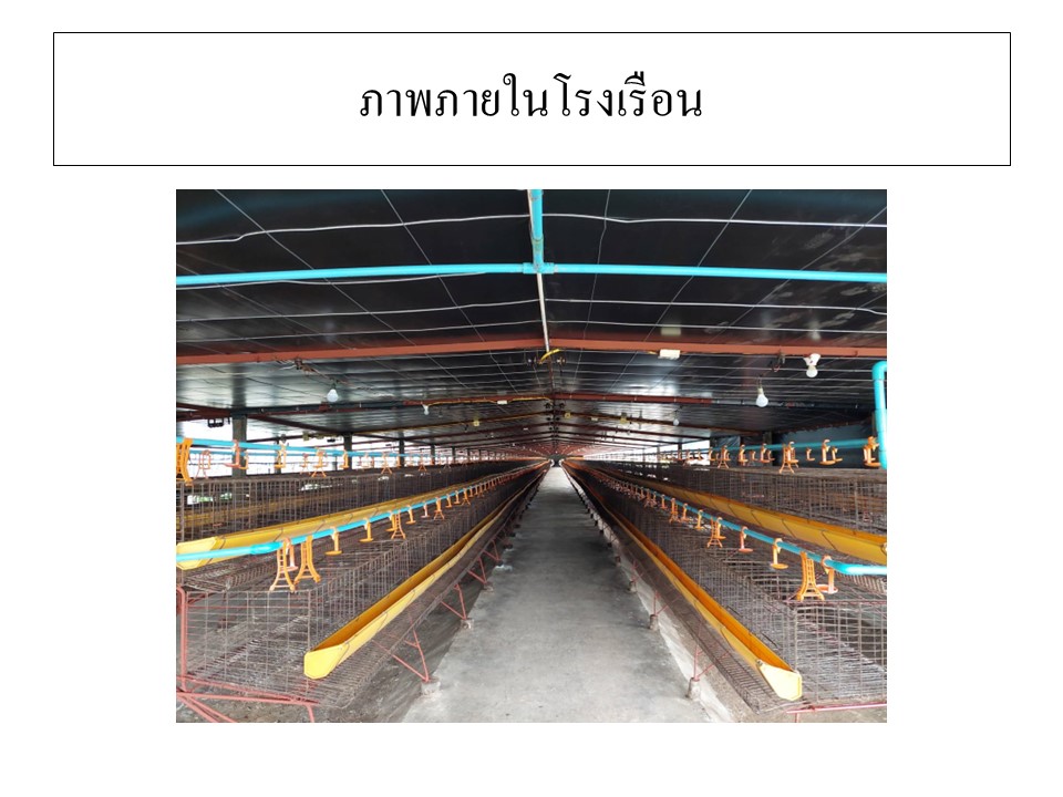สไลด6