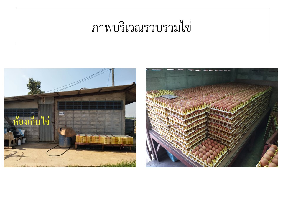 สไลด8