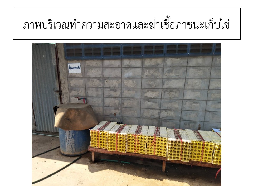 สไลด9