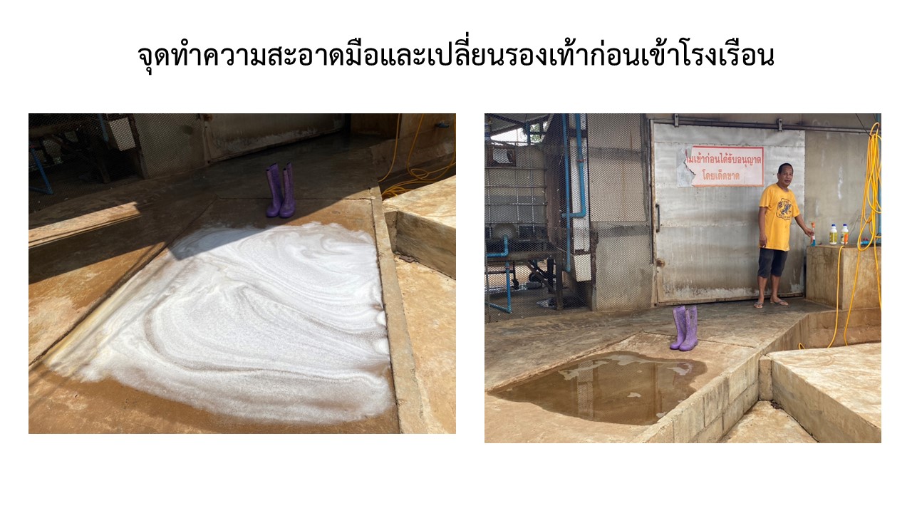 สไลด12