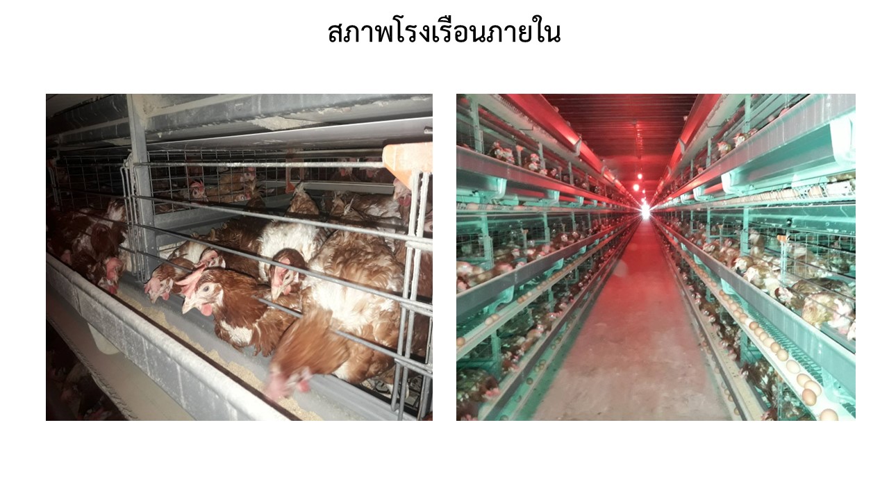 สไลด15