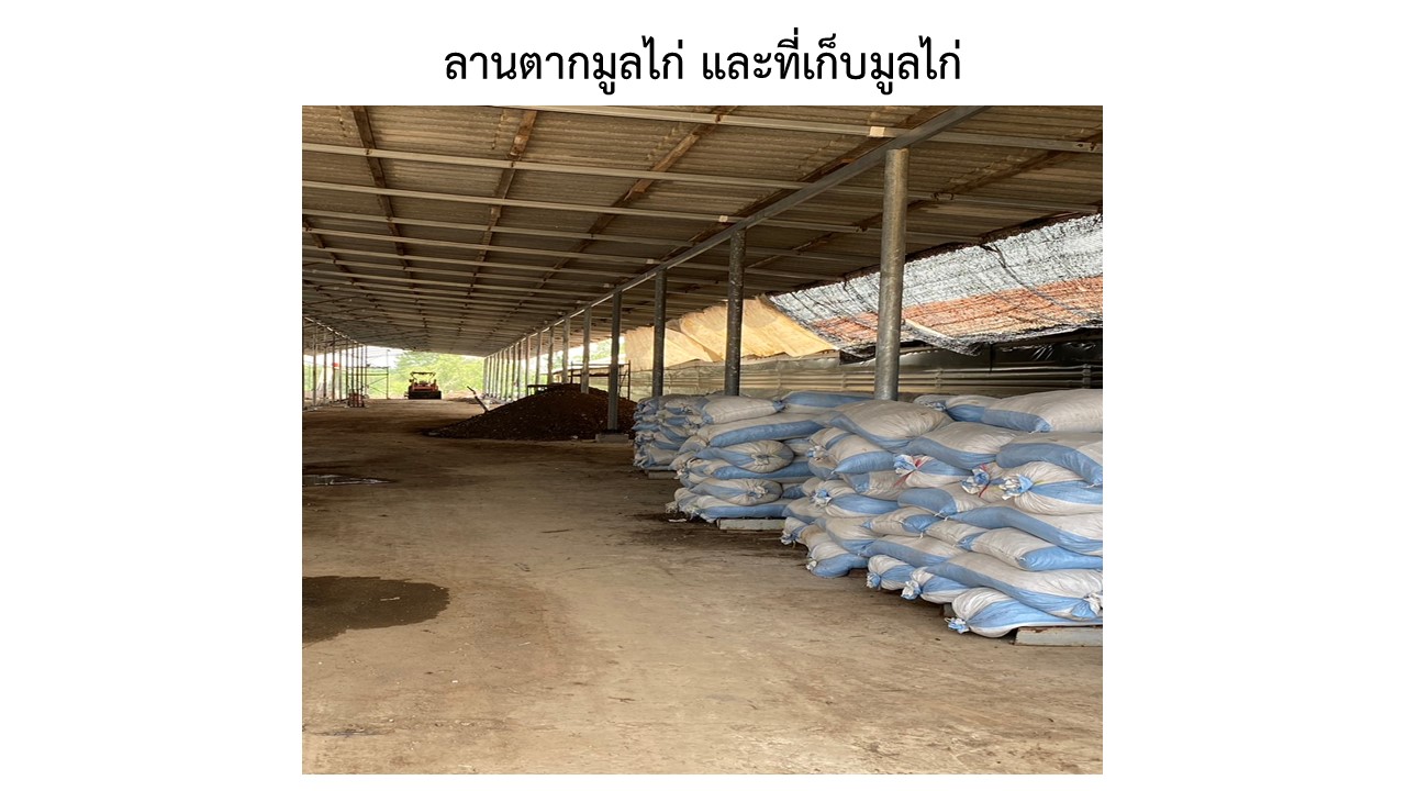 สไลด17