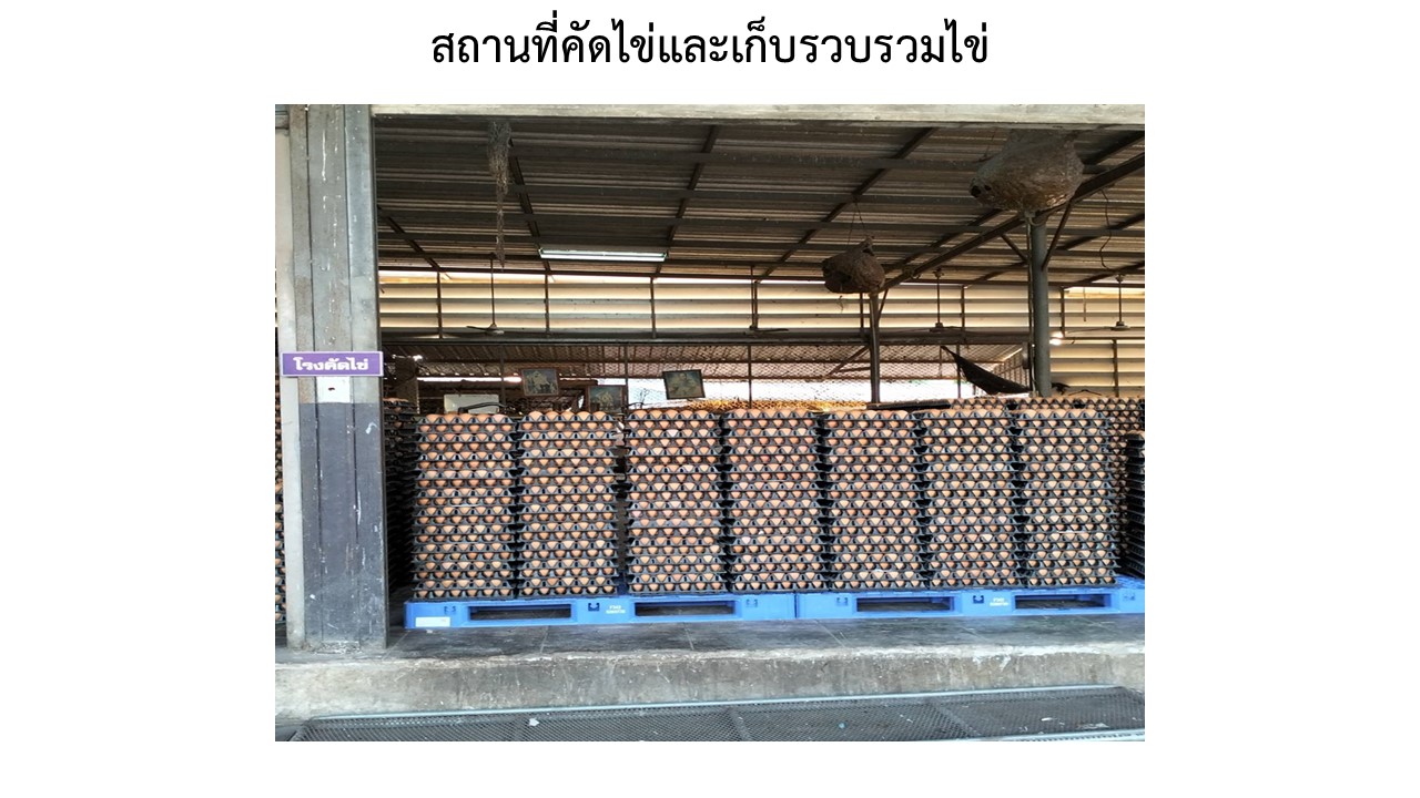 สไลด18