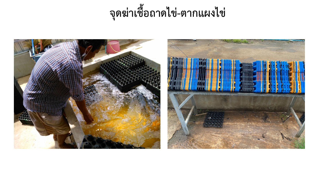 สไลด20