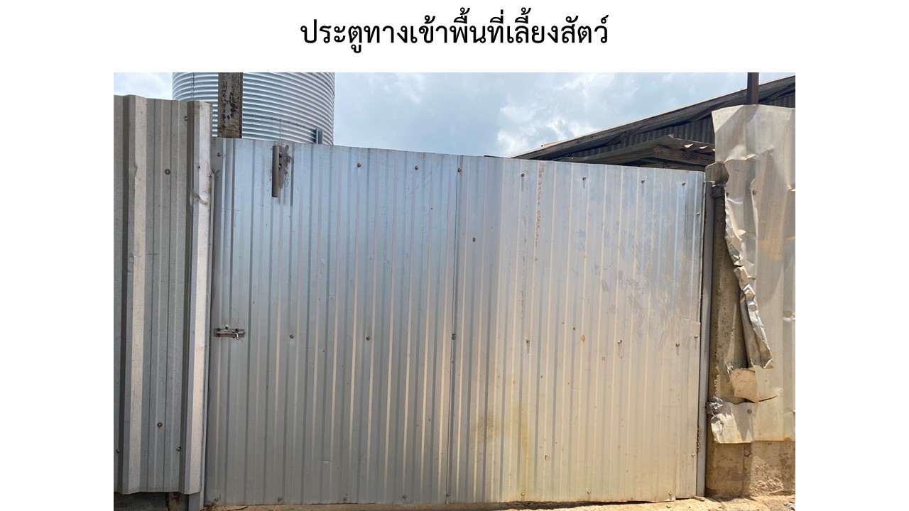 สไลด4