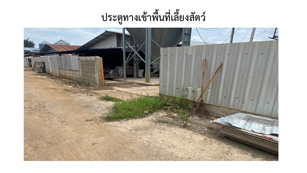 สไลด5