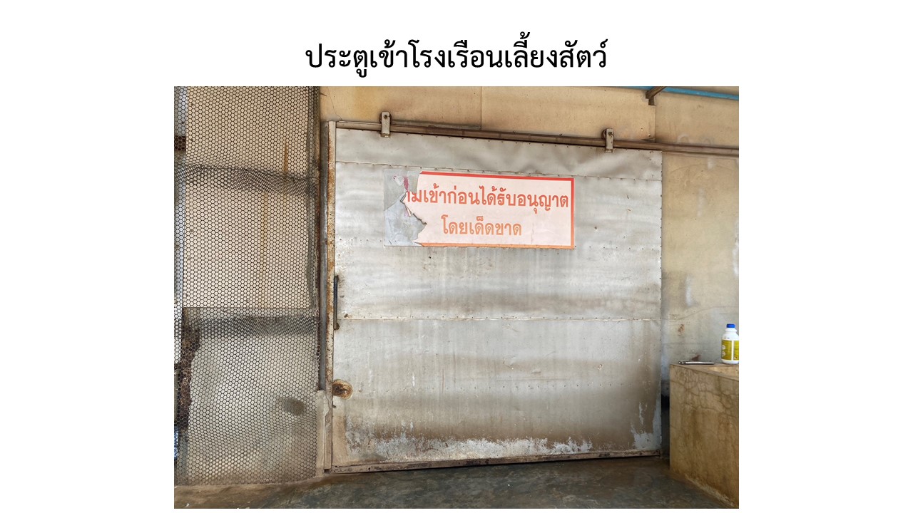 สไลด6