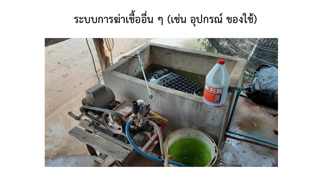 สไลด10