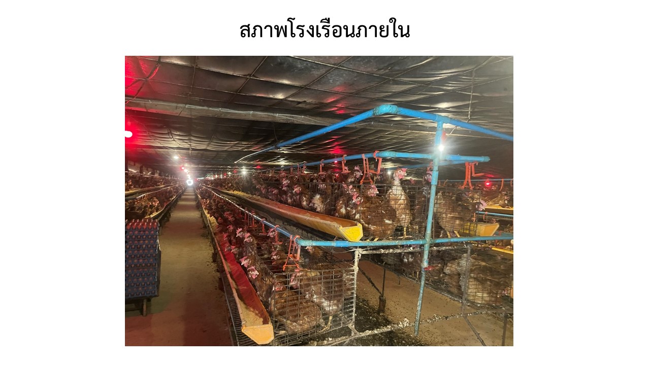 สไลด11