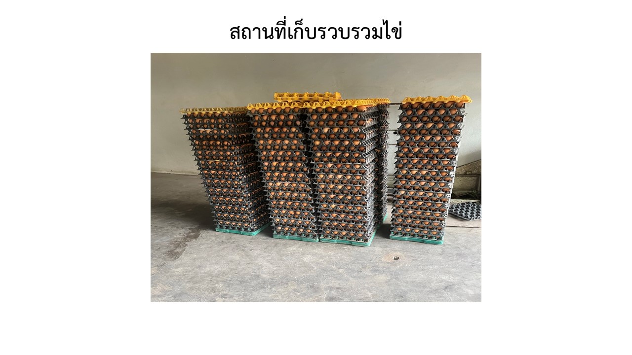 สไลด130