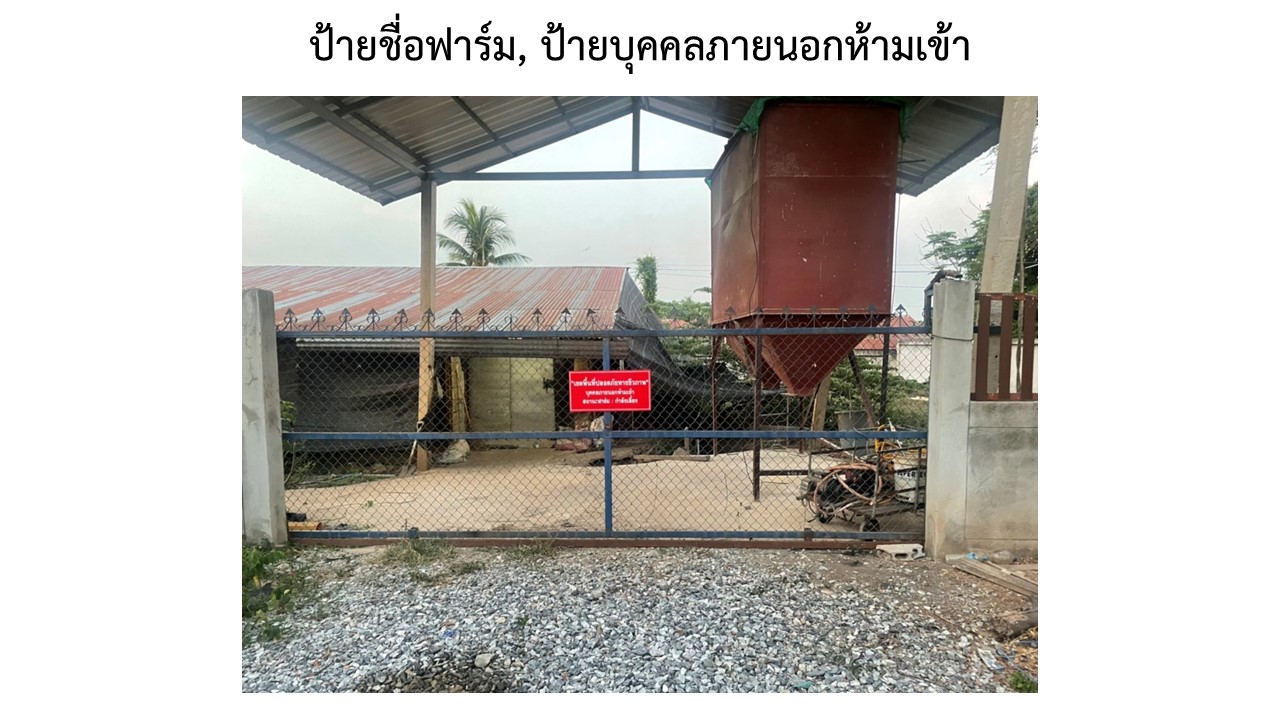 สไลด4