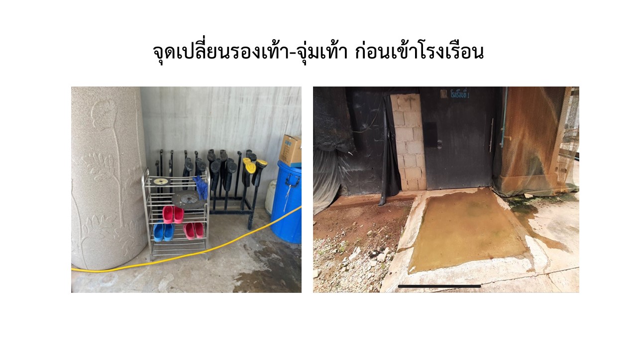 สไลด8
