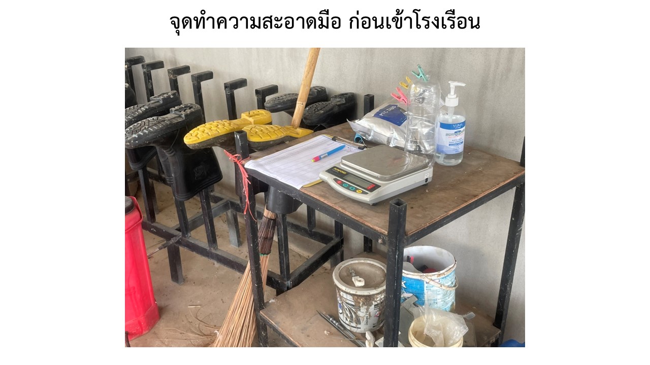 สไลด9
