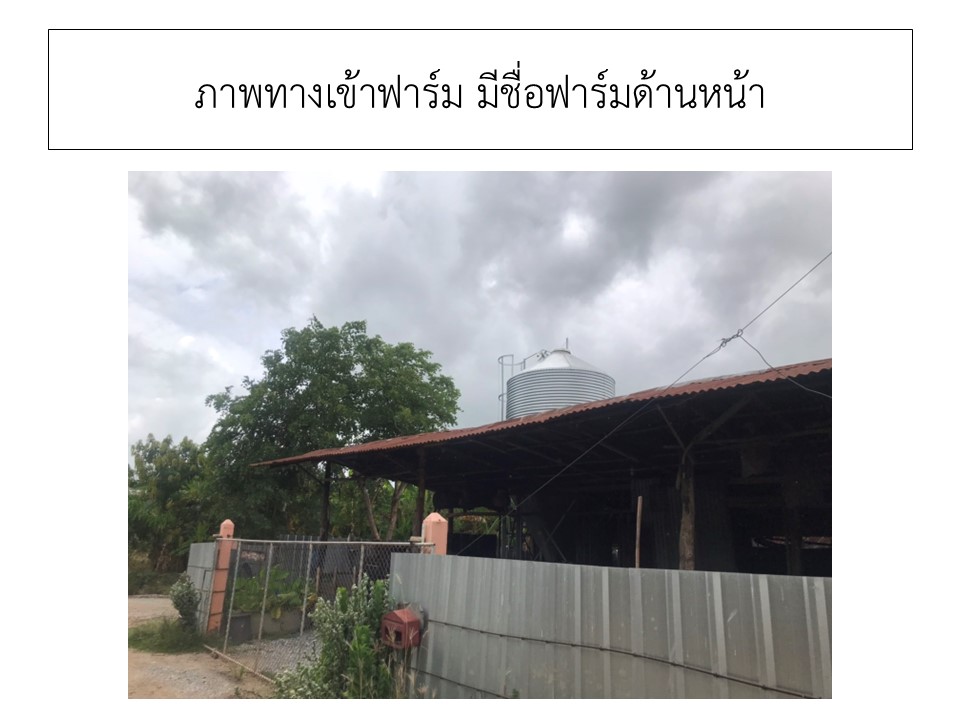สไลด2