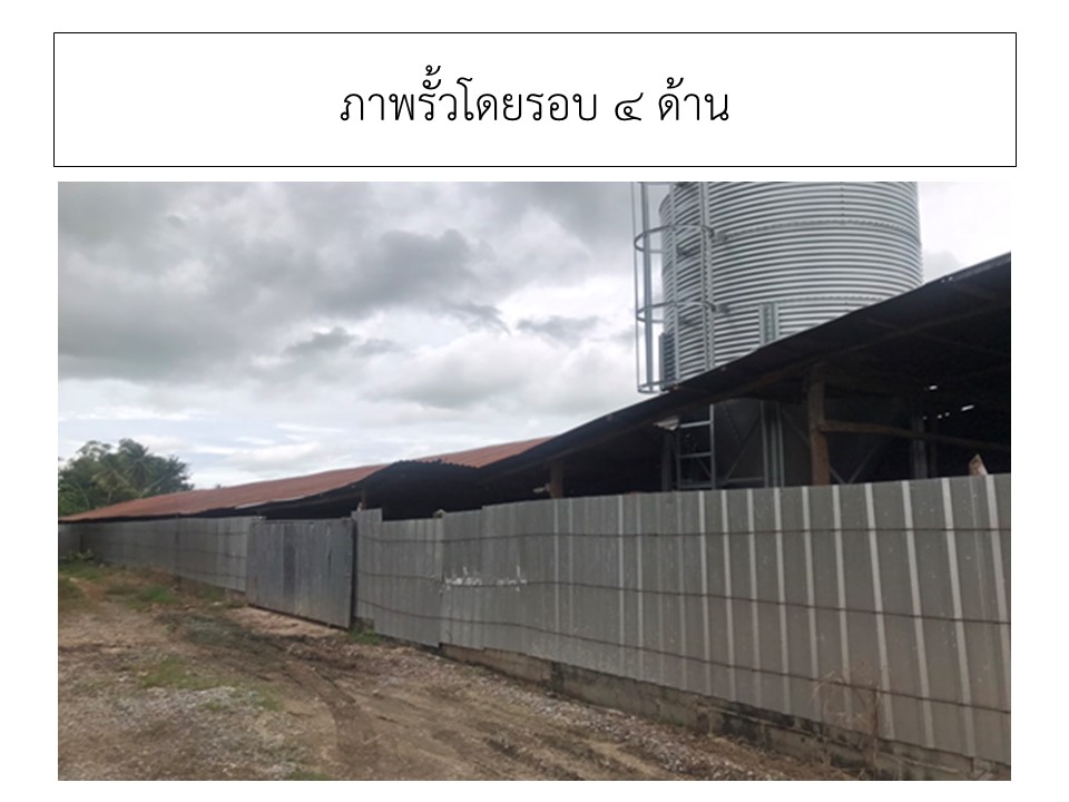 สไลด3
