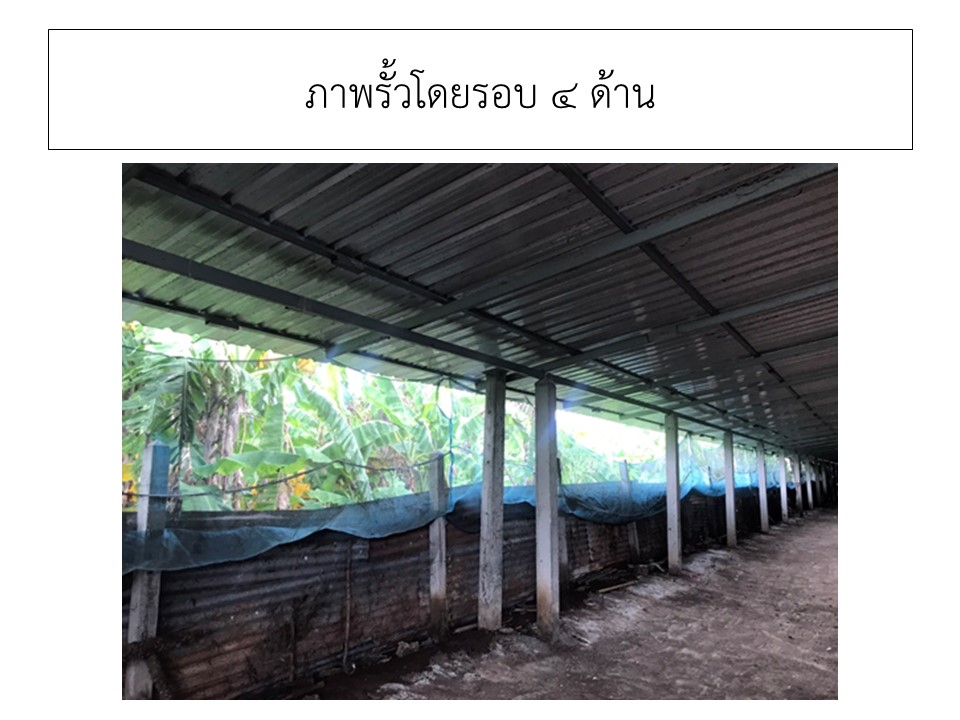 สไลด4