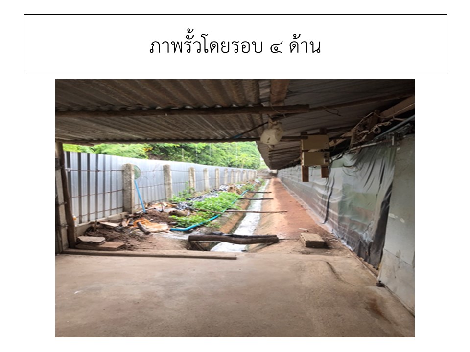 สไลด5