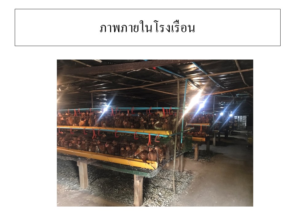 สไลด7