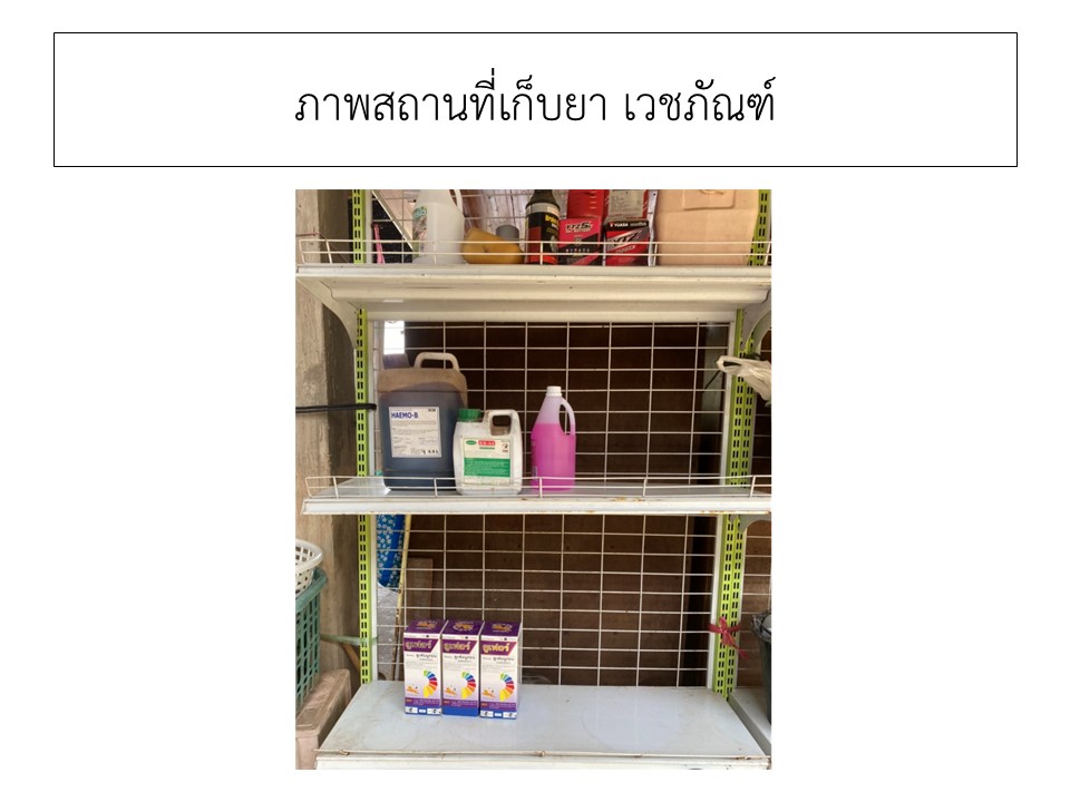 สไลด8