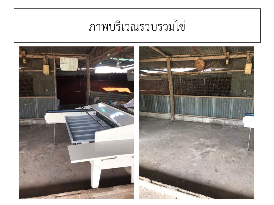สไลด9