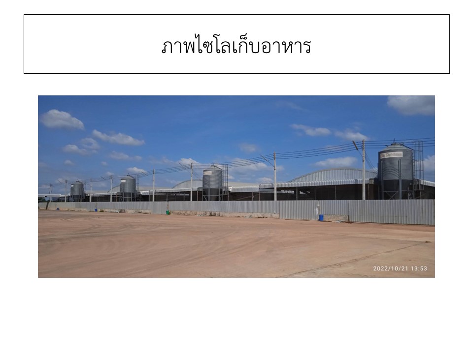 สไลด3