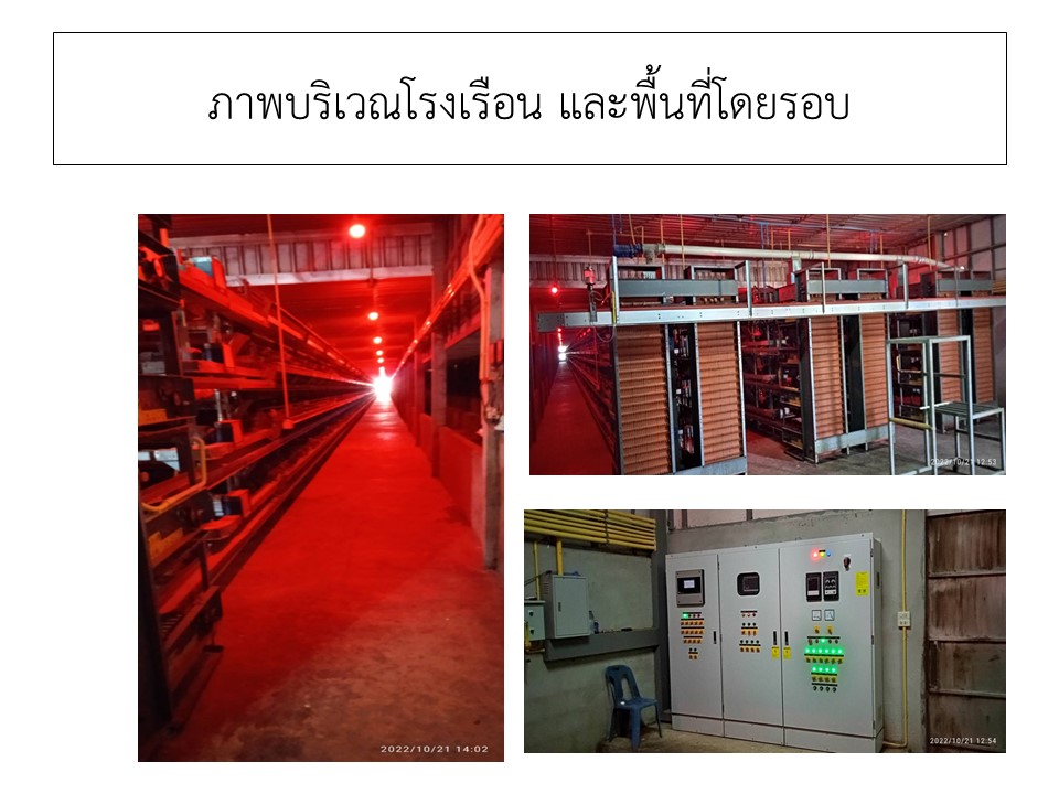 สไลด5
