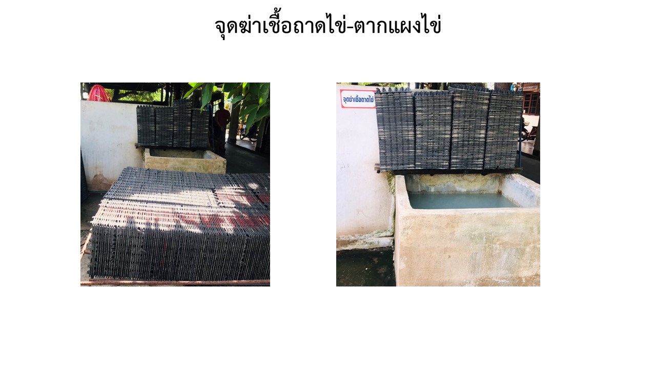 สไลด10