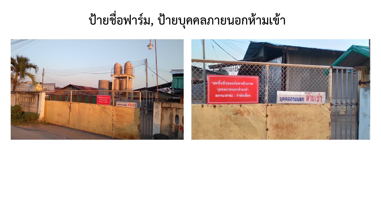 สไลด2