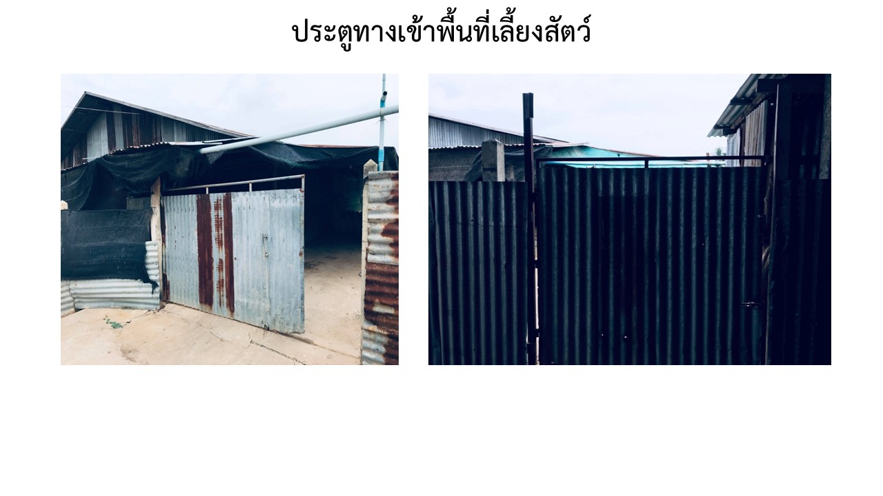 สไลด3