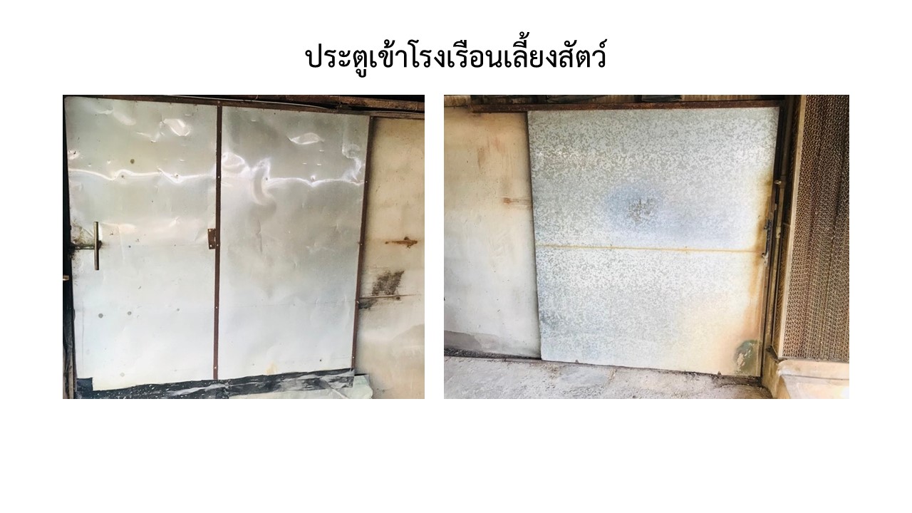 สไลด4
