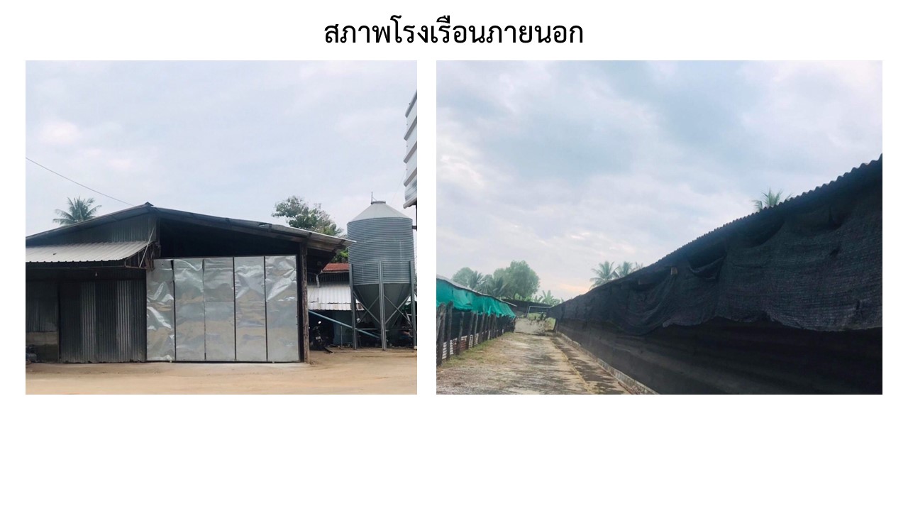 สไลด7