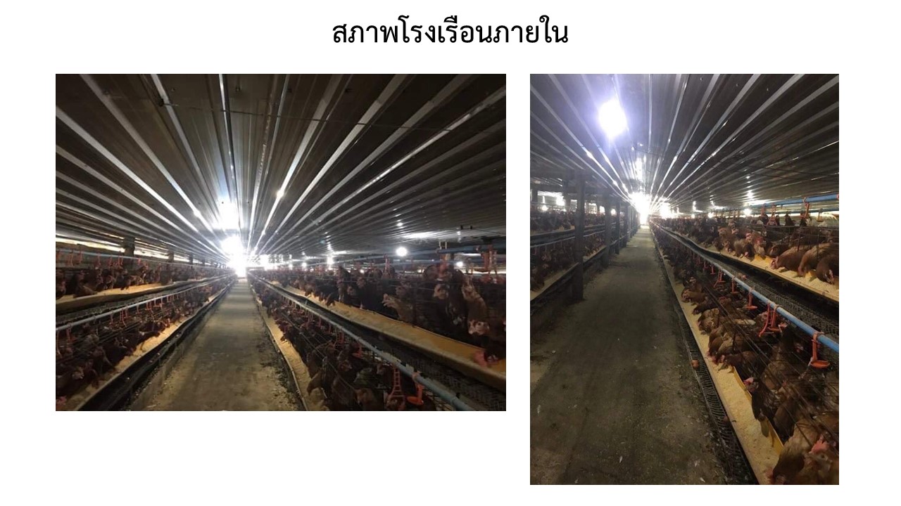 สไลด8
