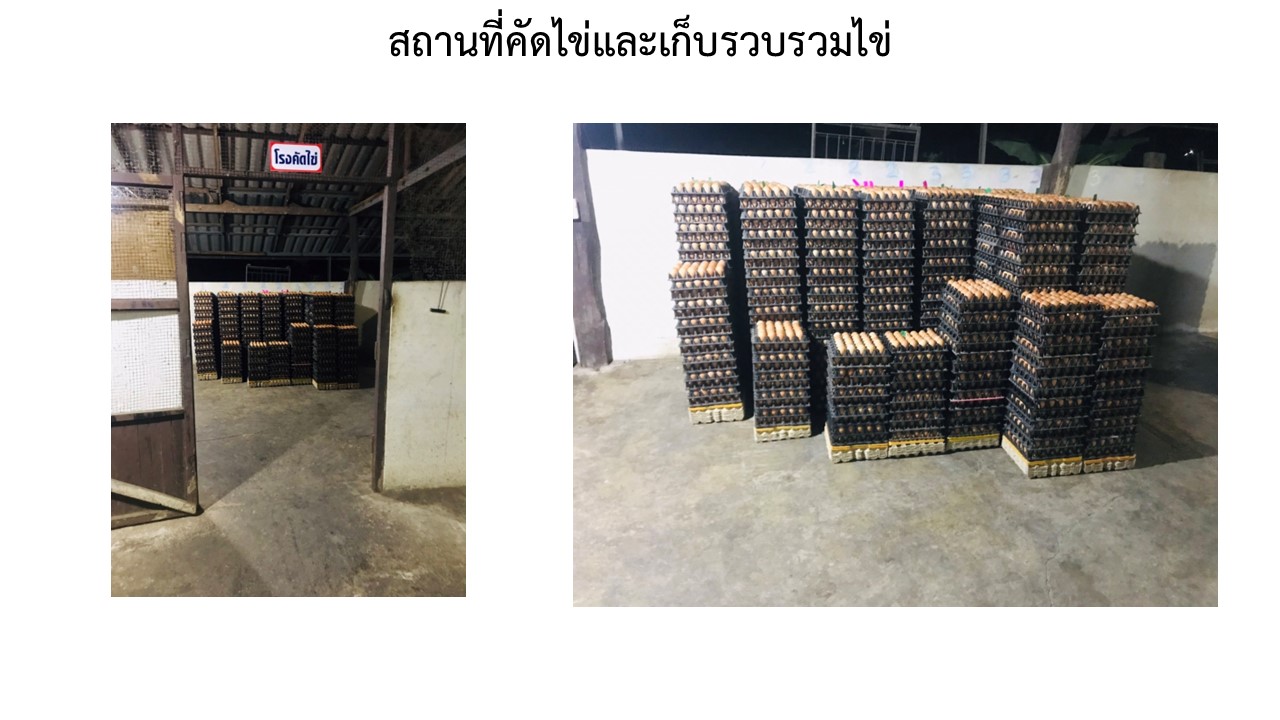 สไลด9
