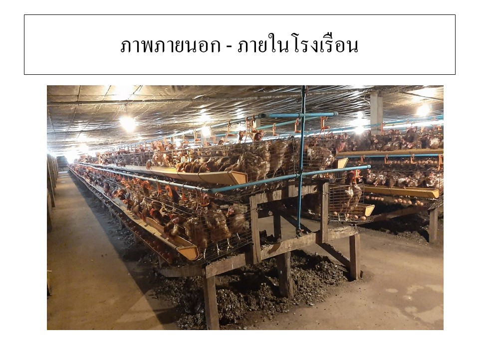สไลด10